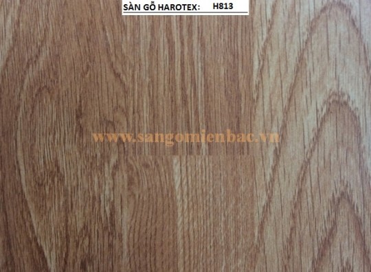 SÀN GỖ HAROTEX H-813