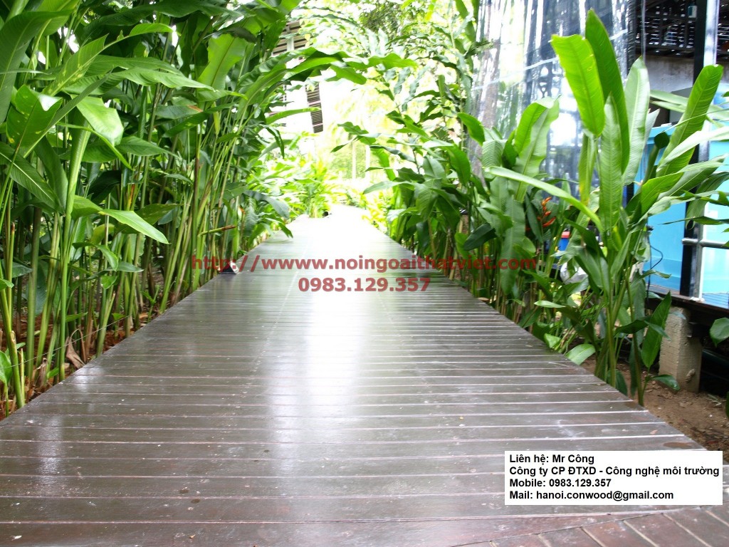 KHO GỖ CÔNG NGHIỆP